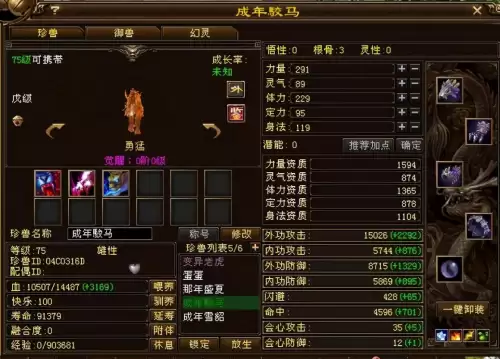 天龙八部勇猛外功bb打什么技能　新天龙八部勇猛内功宝宝-第3张