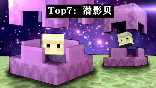 我的世界怎么不让猪灵打　我的世界猪灵仇恨机制-第7张