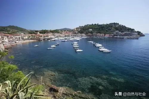 拿破仑全面战争怎么强制退出　拿破仑全面战争拿破仑的战役-第5张