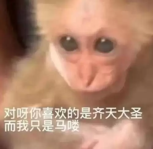 斗战神仙府从哪里进入　斗战神怎么进入副本-第2张