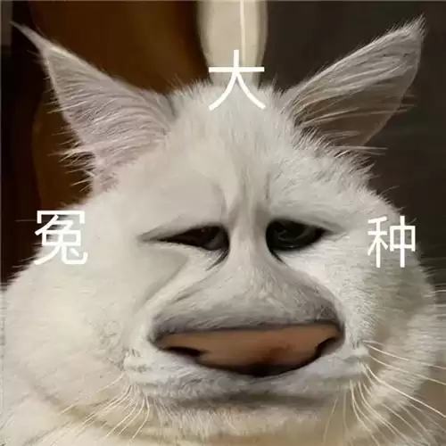 原神uid是按顺序吗　原神uid的来源-第9张