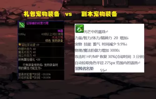 dnf绝版宠物装备　DNF宠物装备-第5张