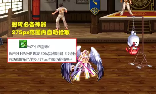 dnf绝版宠物装备　DNF宠物装备-第6张