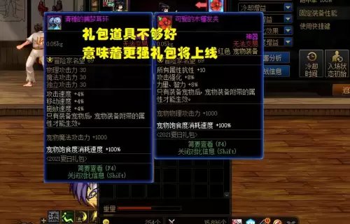 dnf绝版宠物装备　DNF宠物装备-第7张