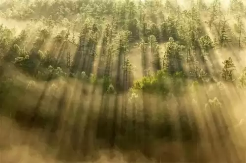 寻仙手游彩装和红装哪个好　寻仙手游哪个职业厉害-第12张