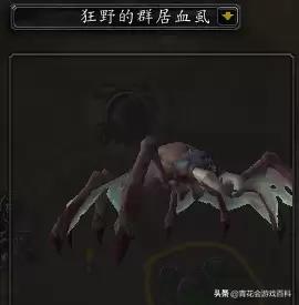 魔兽世界塞塔里斯神庙老一物品怎么开　魔兽世界怀旧服沉没的神庙任务-第13张