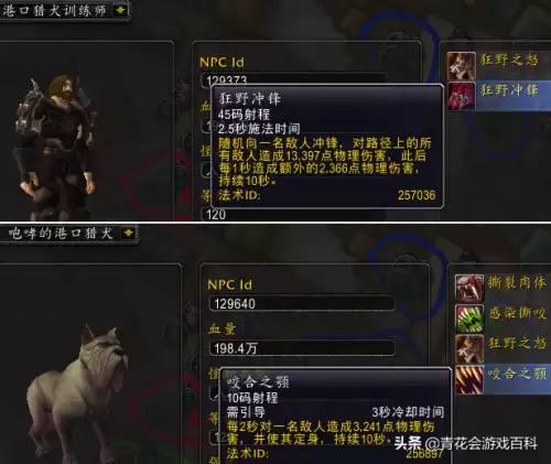 魔兽世界塞塔里斯神庙老一物品怎么开　魔兽世界怀旧服沉没的神庙任务-第33张