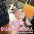 六冠王是哪六冠dnf　拿过六冠王的球队-第15张