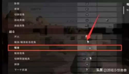 电脑吃鸡开镜是哪个键　pubg怎么设置长按开镜瞄准-第5张