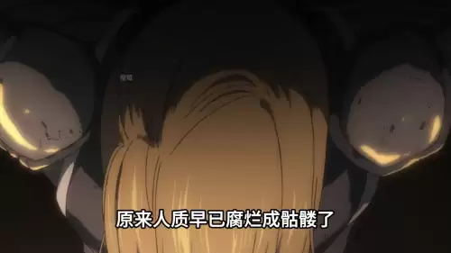 哥布林第几集拿圣女一血　哥布林杀手剑之圣女-第2张