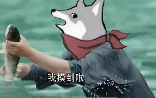 明日之后和什么软件冲突　明日之后配件升级顺序-第11张
