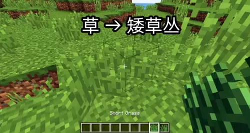 我的世界如何获得草　mc草怎么获得-第4张