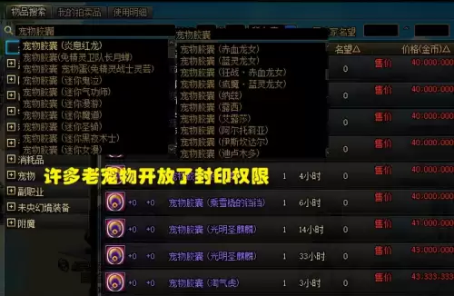 现在dnf拍卖行宠物　dnf宠物宝珠大全可交易-第2张