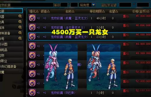 现在dnf拍卖行宠物　dnf宠物宝珠大全可交易-第4张