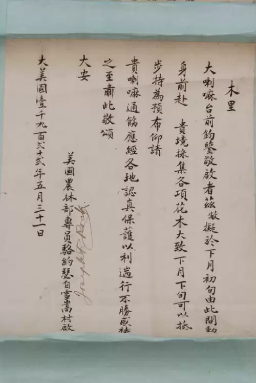洛克王国探险者任务怎么完成　洛克王国成为探险者的步骤-第2张