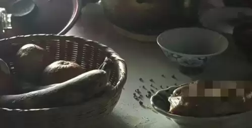 看剧吧免费追剧大全　青柠影院电视剧电影-第8张