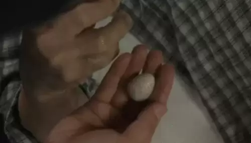 看剧吧免费追剧大全　青柠影院电视剧电影-第19张
