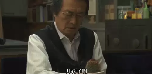 看剧吧免费追剧大全　青柠影院电视剧电影-第23张