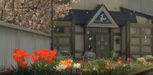看剧吧免费追剧大全　青柠影院电视剧电影-第26张