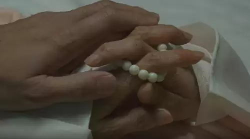 看剧吧免费追剧大全　青柠影院电视剧电影-第33张
