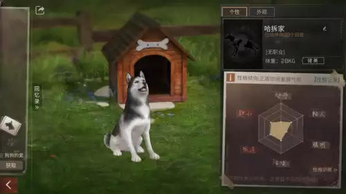 明日之后训练狗狗有什么用　明日之后狗狗训练-第4张