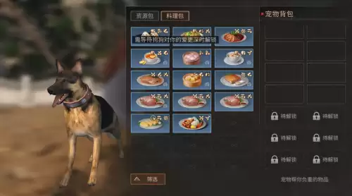 明日之后训练狗狗有什么用　明日之后狗狗训练-第24张
