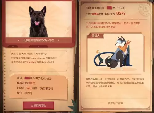 明日之后训练狗狗有什么用　明日之后狗狗训练-第31张