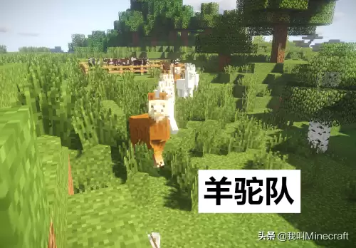 我的世界怎么把动物赶进围栏　两个围栏就把动物们分开了-第6张