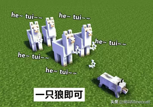 我的世界怎么把动物赶进围栏　两个围栏就把动物们分开了-第7张