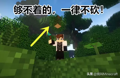 我的世界一开始怎么砍树　我的世界一键砍树-第2张