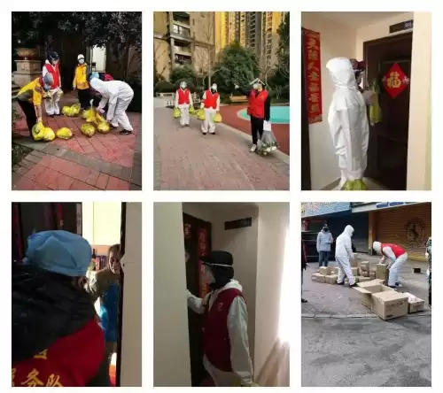 洛克王国怎么叫醒仙桃老人　洛克王国来访的故人任务怎么做-第3张