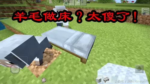 我的世界冒险模式可以养动物吗　我的世界怎么养宠物-第4张
