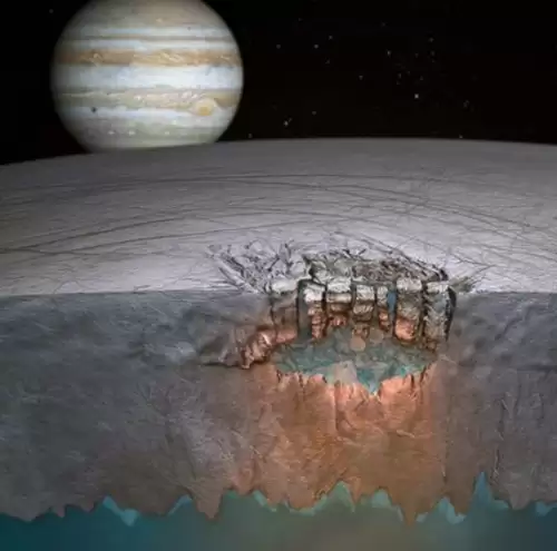 冰冻星球介绍了哪些生物　冰冻星球的思维导图-第2张