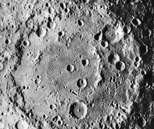 冰冻星球介绍了哪些生物　冰冻星球的思维导图-第4张