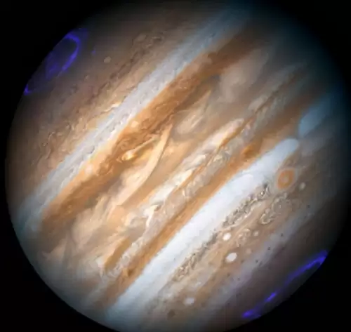 冰冻星球介绍了哪些生物　冰冻星球的思维导图-第5张