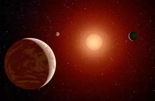 冰冻星球介绍了哪些生物　冰冻星球的思维导图-第6张