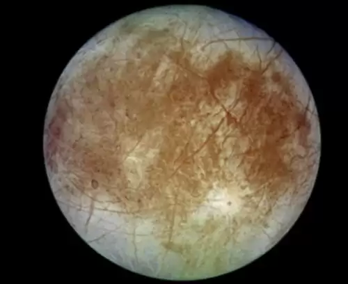 冰冻星球介绍了哪些生物　冰冻星球的思维导图-第7张