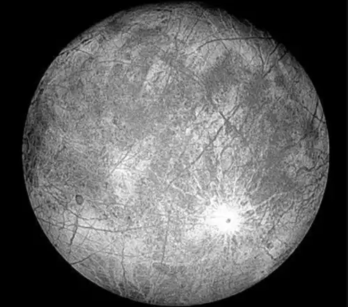 冰冻星球介绍了哪些生物　冰冻星球的思维导图-第8张