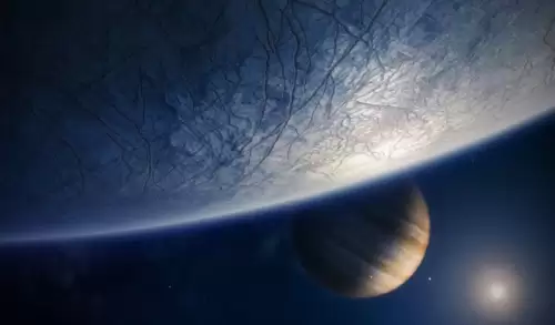 冰冻星球介绍了哪些生物　冰冻星球的思维导图-第9张