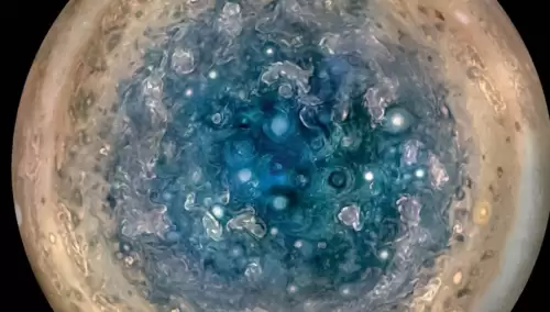 冰冻星球介绍了哪些生物　冰冻星球的思维导图-第10张