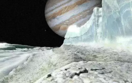 冰冻星球介绍了哪些生物　冰冻星球的思维导图-第11张