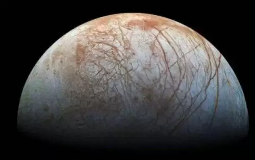 冰冻星球介绍了哪些生物　冰冻星球的思维导图-第13张