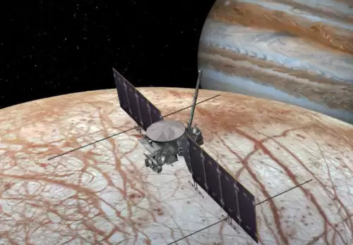 冰冻星球介绍了哪些生物　冰冻星球的思维导图-第15张