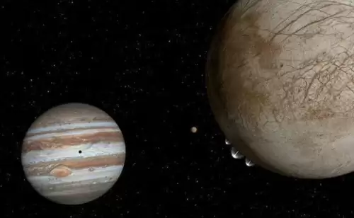 冰冻星球介绍了哪些生物　冰冻星球的思维导图-第16张