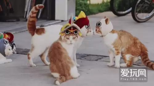 怪物猎人世界捏脸数据怎么保存　怪物猎人世界男性捏脸-第15张