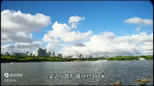 上海世纪公园有什么好玩的　上海人气最旺的十大景点-第1张