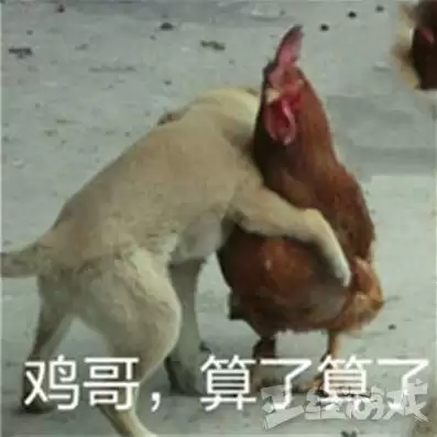 猫里奥第五关怎么进　游戏猫里奥攻略第五关-第3张