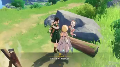 原神藏匿之泪秘境怎么过　原神求方秘境攻略-第10张