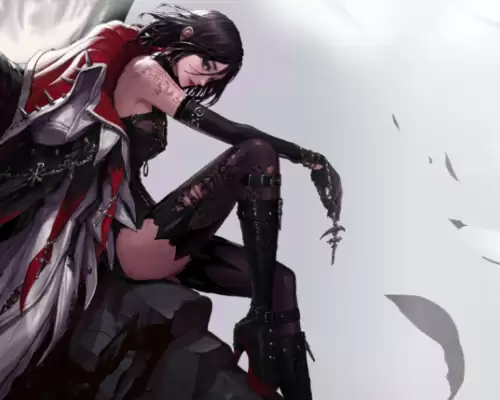 dnf女圣职者女巫　DNF巫女-第5张