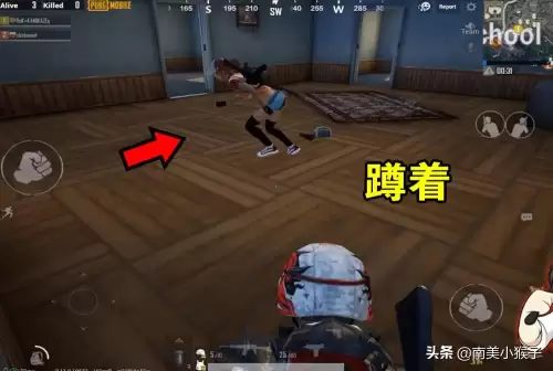 吃鸡趴着有脚步吗　刺激战场蹲着走有脚步印吗-第4张